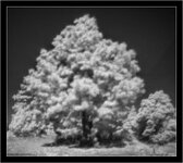 DSC00255-Pano.jpg
