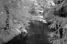 K800_K1600_Muskau-10.JPG