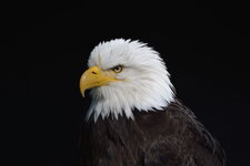 _DSC6465 03 hell.jpg