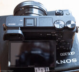 Sony63--3954.jpg