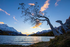 20201017_181623_Engadin_31-HDR.jpg