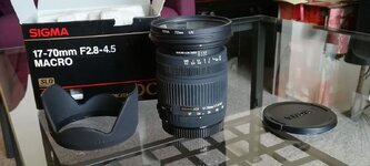 IMG_20201019_161752.jpg