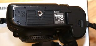 EOS 5DM3 3.jpg