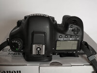 7DII-4.jpg