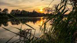 Sonnenuntergang-Teich.jpg