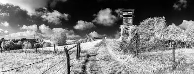 IMG_0887 - IMG_0893.jpg