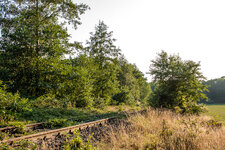 IMG_07325.jpg