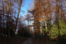 Herbst-5.jpg