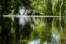 2020-05-30 13-38-34 Wanderung rund um Großharthau.jpg