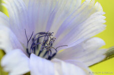 DSC_2320_forum.jpg