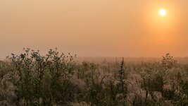 Sonnenaufgang_20130706-5DM32849.jpg