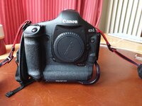 Canon 1D4 3.jpg