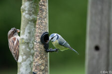 A7405170-1.jpg