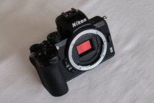 Nikon Z50 - Export-DSCF0035.jpg