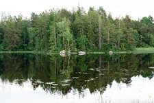 DSC02413.jpg