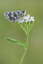 20200802-IMG_0897-b.jpg