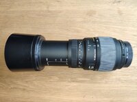 Sigma_70-300_Seite.jpg