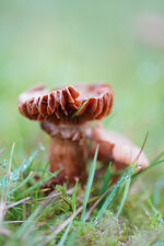 DSC01835.jpg