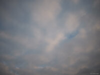 Nikkor 24 PC-E (0963).jpg