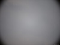 Nikkor 300_f4 PF (0951).jpg