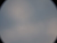 Sigma 24-105 @105 (0962).jpg