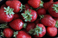 Erdbeeren_1200.jpg