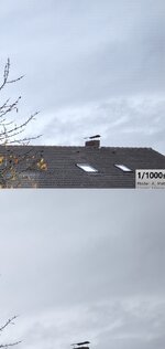 Unbenannt.jpg