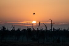 20200922-KST_2950.jpg