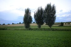DSC_0682_1.jpg