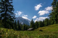 _DSC1445.jpg