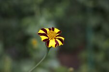 IMG_0139.jpg