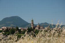 D2X_0782Cs6_1.jpg