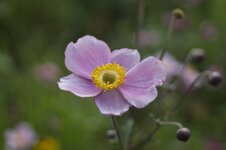 IMG_0149.jpg