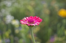 IMG_0168.jpg