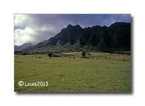 DSRL-Oahu-h-copyright-Louis.jpg