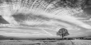 IMG_2007 - IMG_2012.jpg