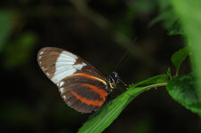 DSE_9524.JPG
