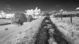 IMG_0377.jpg