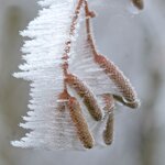 DSCF1704.jpg