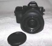 SAM_1756-1.jpg
