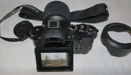 SAM_1770-1.jpg