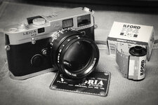 LeicaM6.jpg