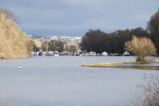 Rheinarm bei Heidenfahrt.jpg