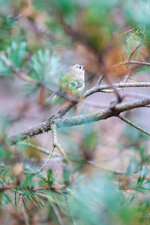 web-0220.jpg