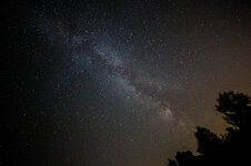 886B0985s.jpg