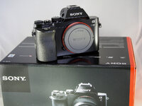 Sony A7_1.jpg