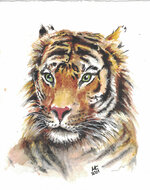 2021_tiger_2h-sketch_s.jpg