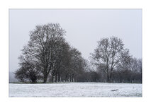 DSC01302RbstzR_Forum.jpg DSC01302RbstzR_Forum.jpg