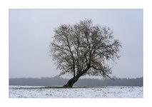 DSC01300RR_Forum.jpg DSC01300RR_Forum.jpg