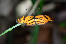DSC_4459_01.JPG